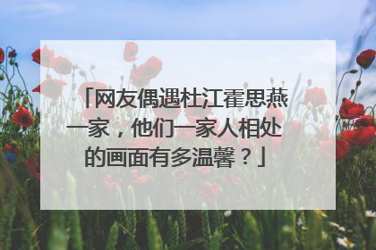 网友偶遇杜江霍思燕一家，他们一家人相处的画面有多温馨？