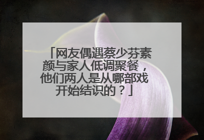 网友偶遇蔡少芬素颜与家人低调聚餐，他们两人是从哪部戏开始结识的？