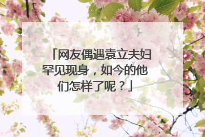 网友偶遇袁立夫妇罕见现身,如今的他们怎样了呢?