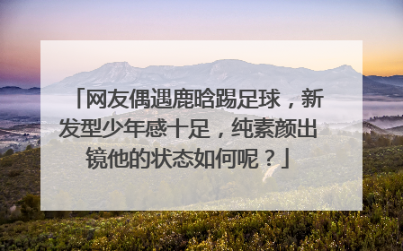 网友偶遇鹿晗踢足球,新发型少年感十足,纯素颜出镜他的状态如何呢?