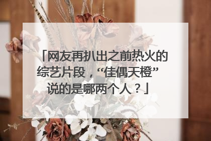 网友再扒出之前热火的综艺片段，“佳偶天橙”说的是哪两个人？