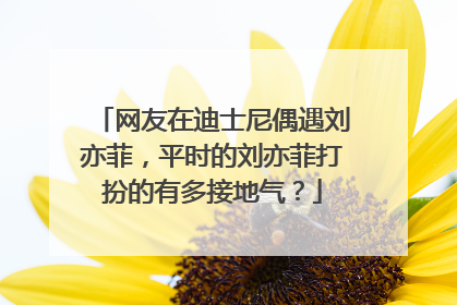 网友在迪士尼偶遇刘亦菲,平时的刘亦菲打扮的有多接地气?