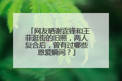 网友晒谢霆锋和王菲逛街的旧照,两人复合后,曾有过哪些恩爱瞬间?