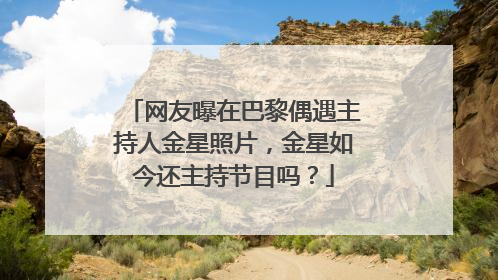 网友曝在巴黎偶遇主持人金星照片,金星如今还主持节目吗?