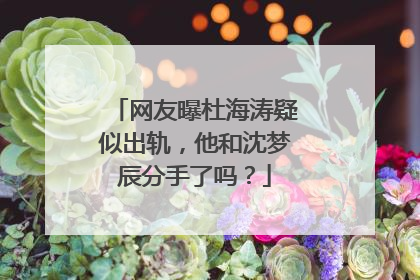 网友曝杜海涛疑似出轨，他和沈梦辰分手了吗？