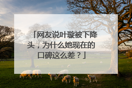 网友说叶璇被下降头，为什么她现在的口碑这么差？
