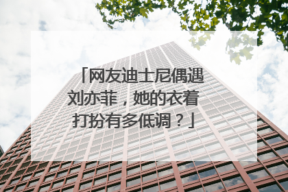 网友迪士尼偶遇刘亦菲,她的衣着打扮有多低调?