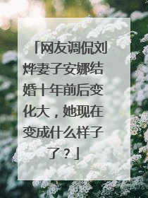 网友调侃刘烨妻子安娜结婚十年前后变化大，她现在变成什么样子了？