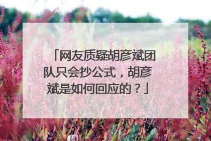 网友质疑胡彦斌团队只会抄公式，胡彦斌是如何回应的？