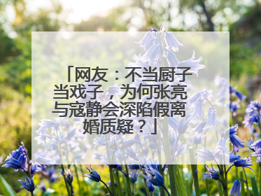 网友:不当厨子当戏子,为何张亮与寇静会深陷假离婚质疑?