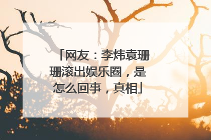 网友:李炜袁珊珊滚出娱乐圈,是怎么回事,真相