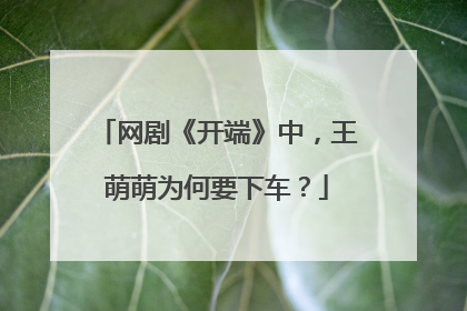 网剧《开端》中,王萌萌为何要下车?