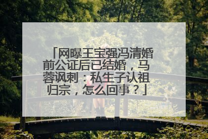 网曝王宝强冯清婚前公证后已结婚,马蓉讽刺:私生子认祖归宗,怎么回事?