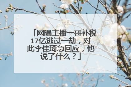 网曝主播一哥补税17亿逃过一劫，对此李佳琦急回应，他说了什么？