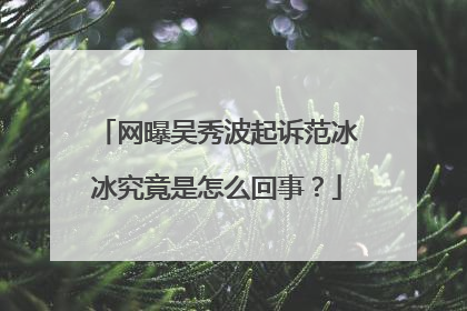 网曝吴秀波起诉范冰冰究竟是怎么回事?