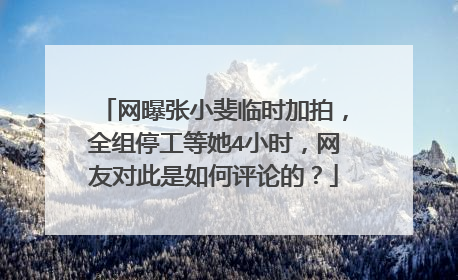 网曝张小斐临时加拍，全组停工等她4小时，网友对此是如何评论的？