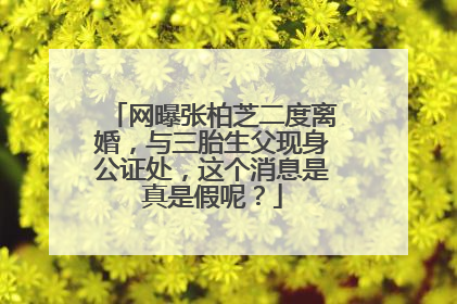 网曝张柏芝二度离婚，与三胎生父现身公证处，这个消息是真是假呢？