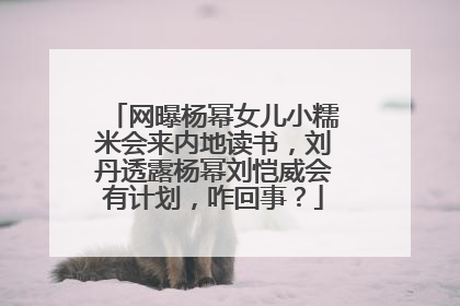 网曝杨幂女儿小糯米会来内地读书,刘丹透露杨幂刘恺威会有计划,咋回事?