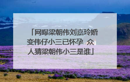 网曝梁朝伟刘嘉玲婚变伟仔小三已怀孕 众人猜梁朝伟小三是谁