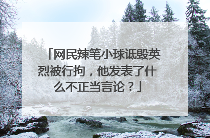 网民辣笔小球诋毁英烈被行拘，他发表了什么不正当言论？