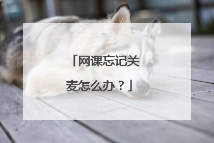 网课忘记关麦怎么办？