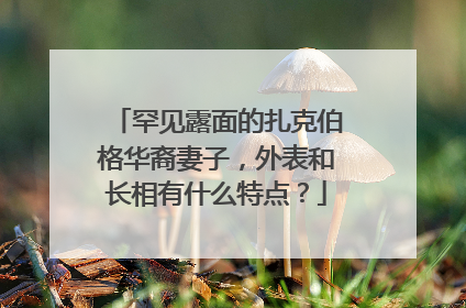 罕见露面的扎克伯格华裔妻子,外表和长相有什么特点?