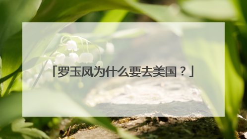 罗玉凤为什么要去美国?
