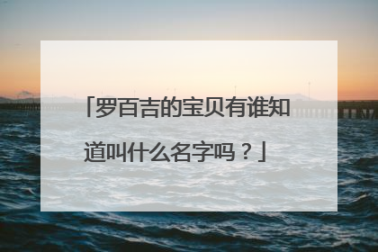 罗百吉的宝贝有谁知道叫什么名字吗?