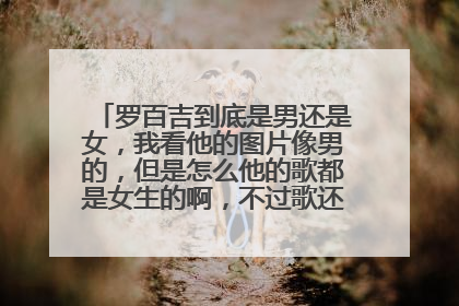 罗百吉到底是男还是女,我看他的图片像男的,但是怎么他的歌都是女生的啊,不过歌还挺好听的。