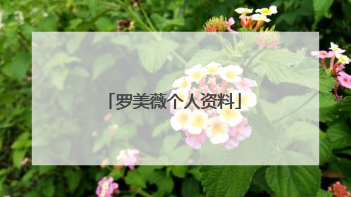 罗美薇个人资料