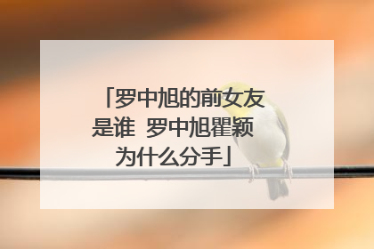 罗中旭的前女友是谁 罗中旭瞿颖为什么分手