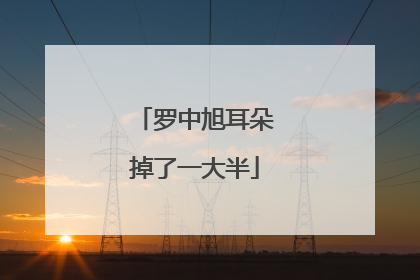 罗中旭耳朵掉了一大半