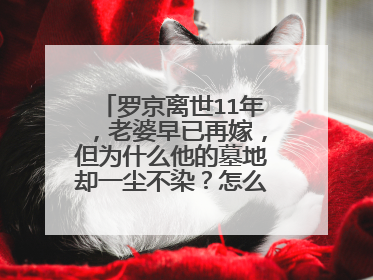 罗京离世11年，老婆早已再嫁，但为什么他的墓地却一尘不染？怎么回事？