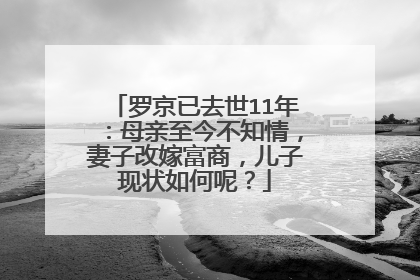 罗京已去世11年：母亲至今不知情，妻子改嫁富商，儿子现状如何呢？