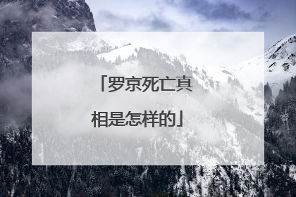 罗京死亡真相是怎样的
