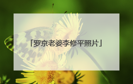 罗京老婆李修平照片