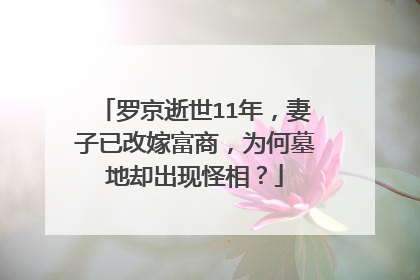 罗京逝世11年，妻子已改嫁富商，为何墓地却出现怪相？