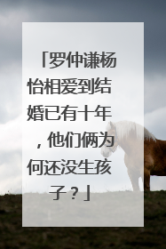 罗仲谦杨怡相爱到结婚已有十年，他们俩为何还没生孩子？