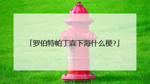 罗伯特帕丁森下海什么梗?