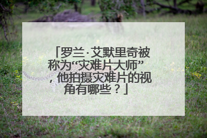 罗兰·艾默里奇被称为“灾难片大师”,他拍摄灾难片的视角有哪些?