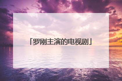 罗刚主演的电视剧