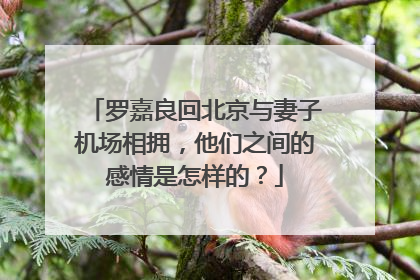 罗嘉良回北京与妻子机场相拥，他们之间的感情是怎样的？