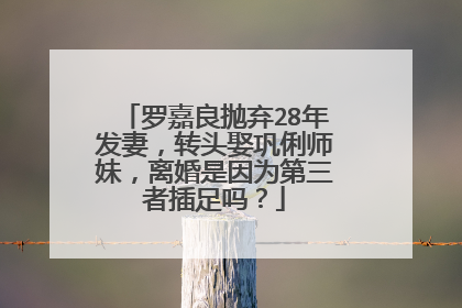 罗嘉良抛弃28年发妻,转头娶巩俐师妹,离婚是因为第三者插足吗?