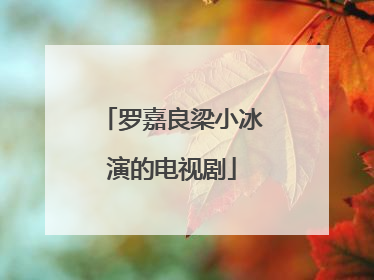 罗嘉良梁小冰演的电视剧