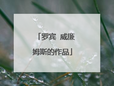 罗宾 威廉姆斯的作品