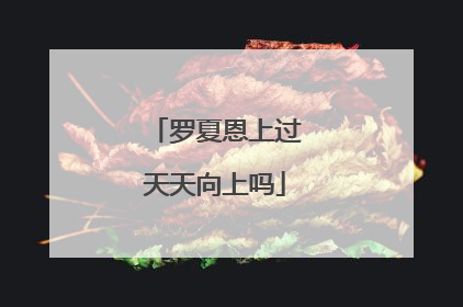 罗夏恩上过天天向上吗