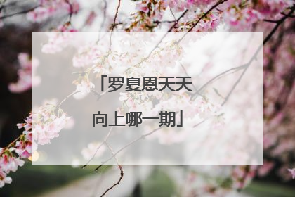 罗夏恩天天向上哪一期