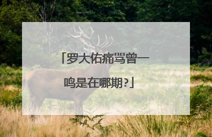 罗大佑痛骂曾一鸣是在哪期?