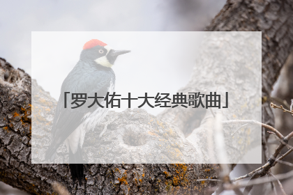 罗大佑十大经典歌曲