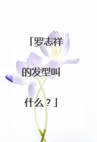 罗志祥的发型叫什么？